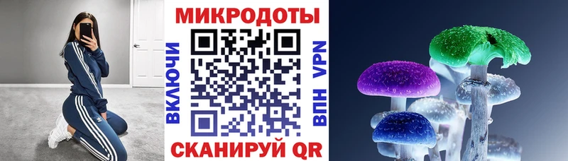 Галлюциногенные грибы прущие грибы  Купить  Томилино 